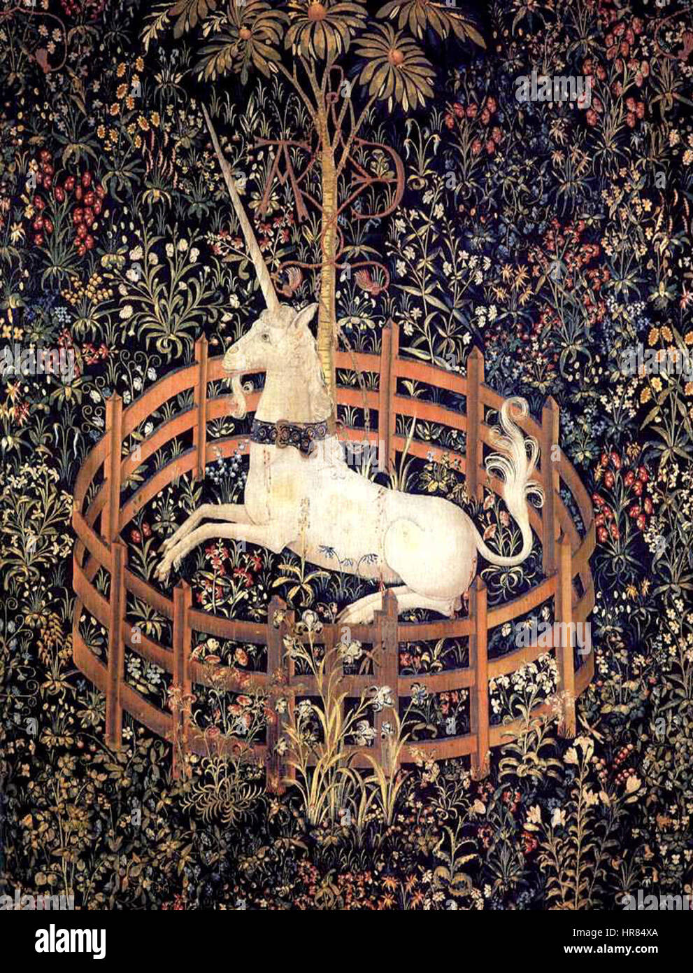 The unicorn in captivity hi res stock photography and images Alamy