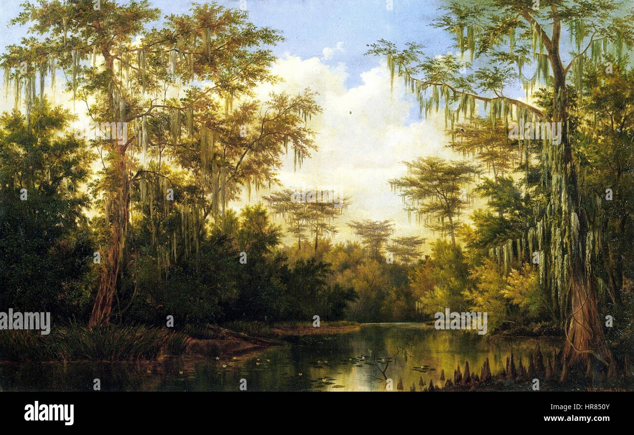Water Lilies n Spanish Moss-Henry Chapman Ford Stock Photo