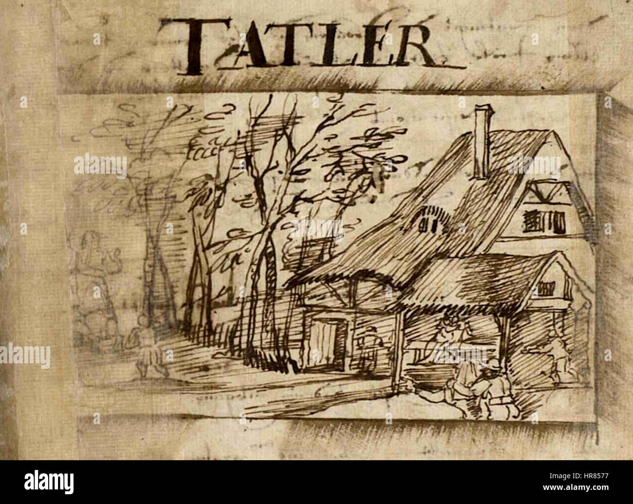 Tatler by Jean Bertels 1597 Stock Photo