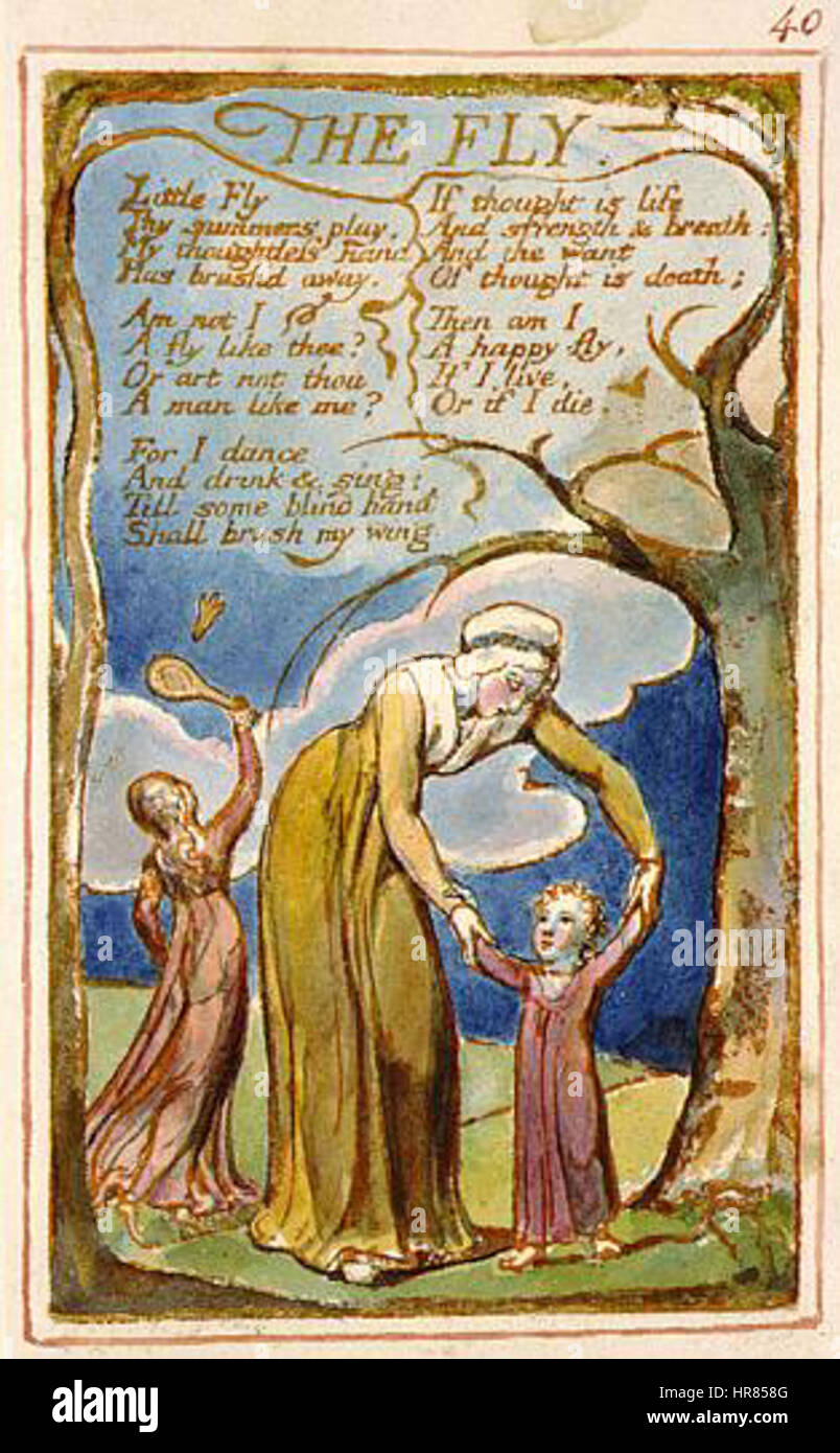 Songs of Innocence and of Experience, copy AA, 1826 (The Fitzwilliam Museum) object 40 The Fly Stock Photo
