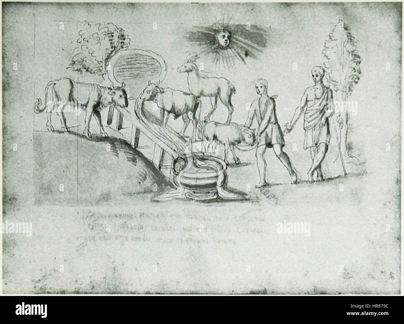 Watering the flocks - Princeton University Lib - Ms104 f48 Stock Photo
