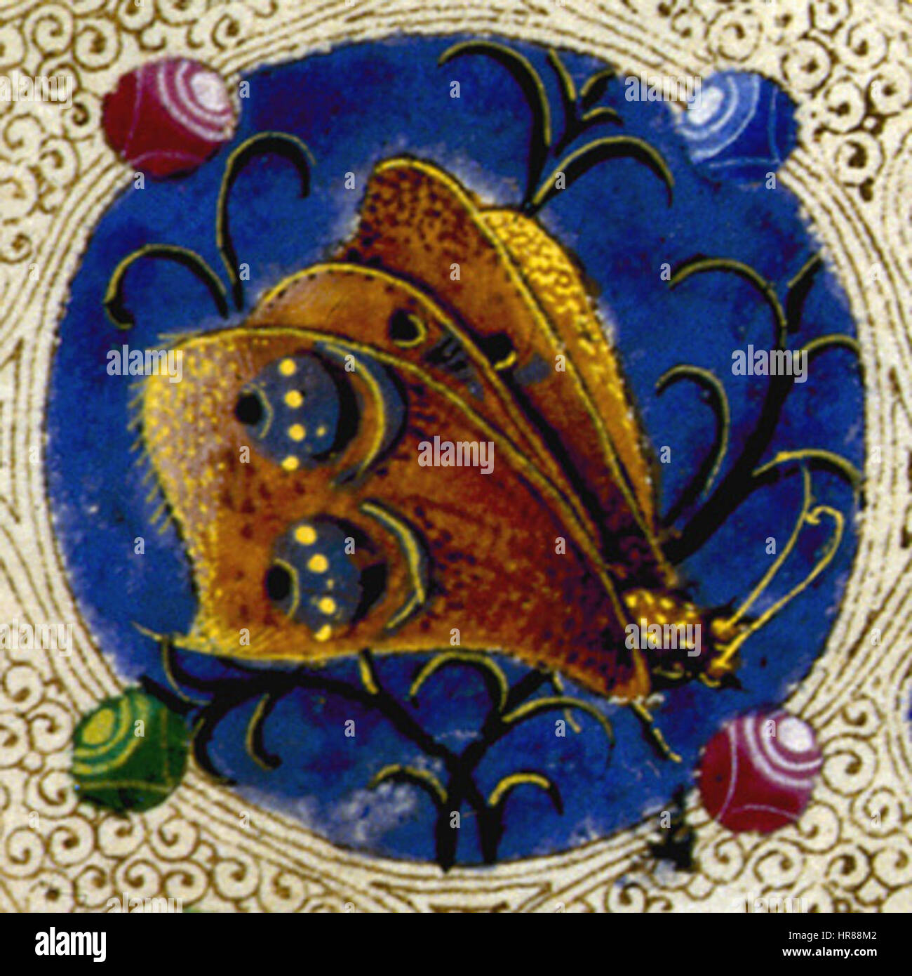 Taddeo crivelli, bibbia di borso d'este 06 Stock Photo