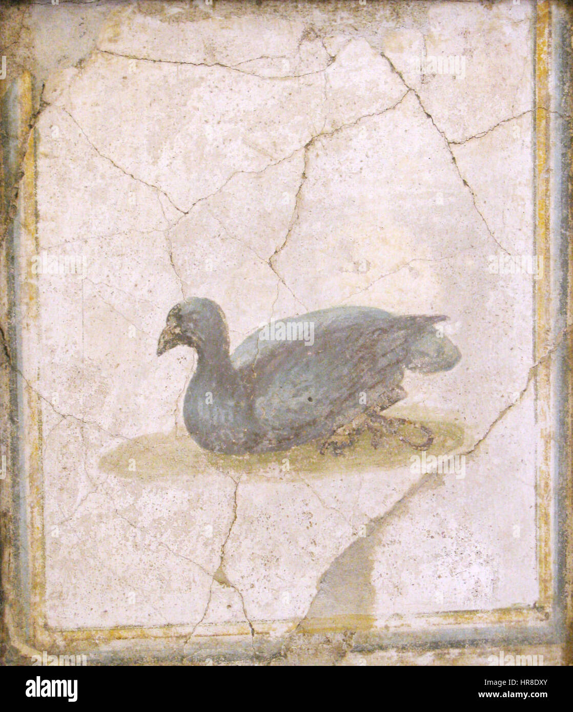 Uccello, affresco Romano di Villa d'Arianna, Stabiae (Museo Archeologico Nazionale di Napoli) - 01 Stock Photo