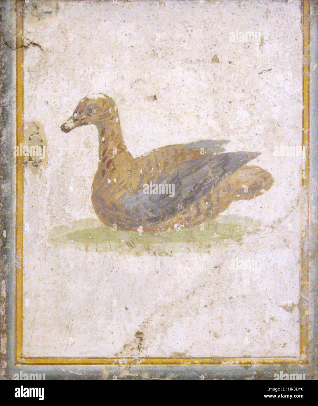Uccello, affresco Romano di Villa d'Arianna, Stabiae (Museo Archeologico Nazionale di Napoli) - 02 Stock Photo