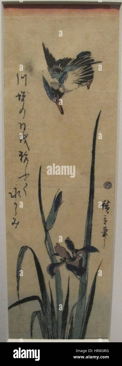 Utagawa hiroshige, iris con martin pescatore, XIX sec Stock Photo