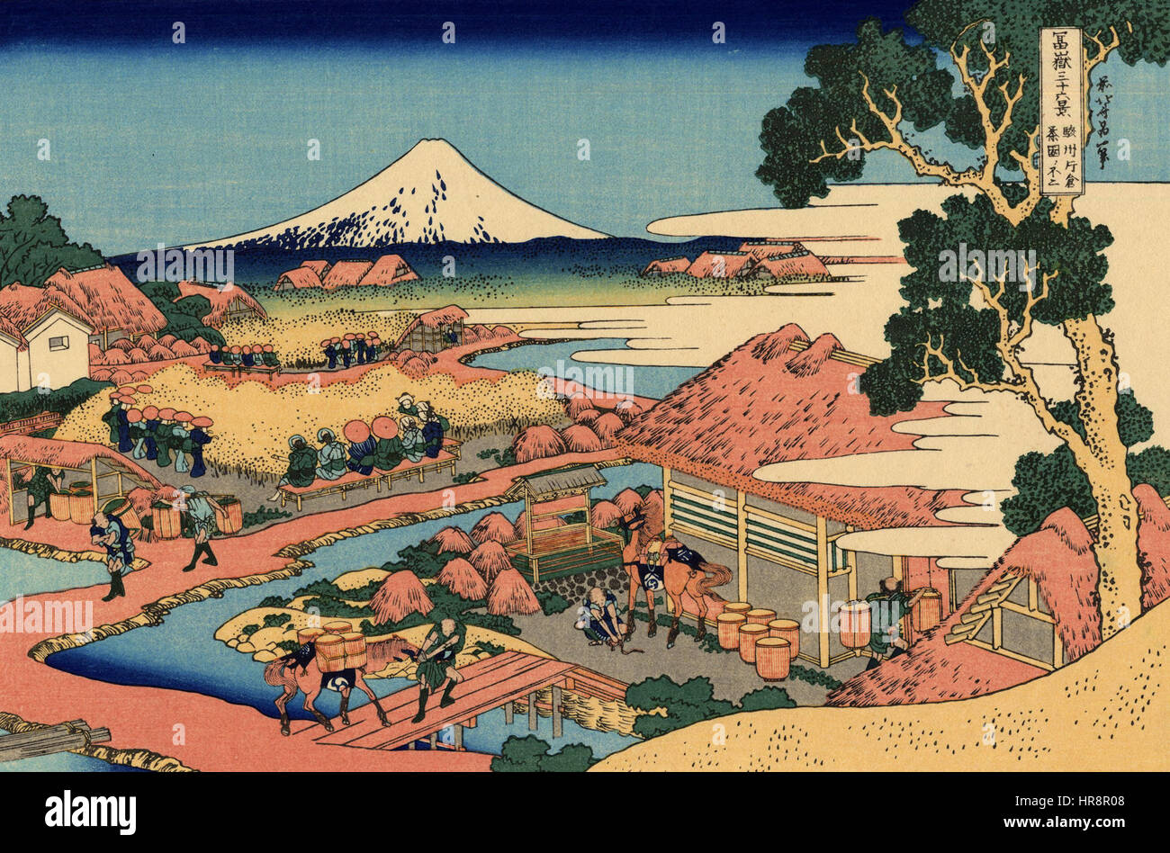 natasan13】掛軸 土居家蔵 美人観桜之図 木箱 春 Katakura hi