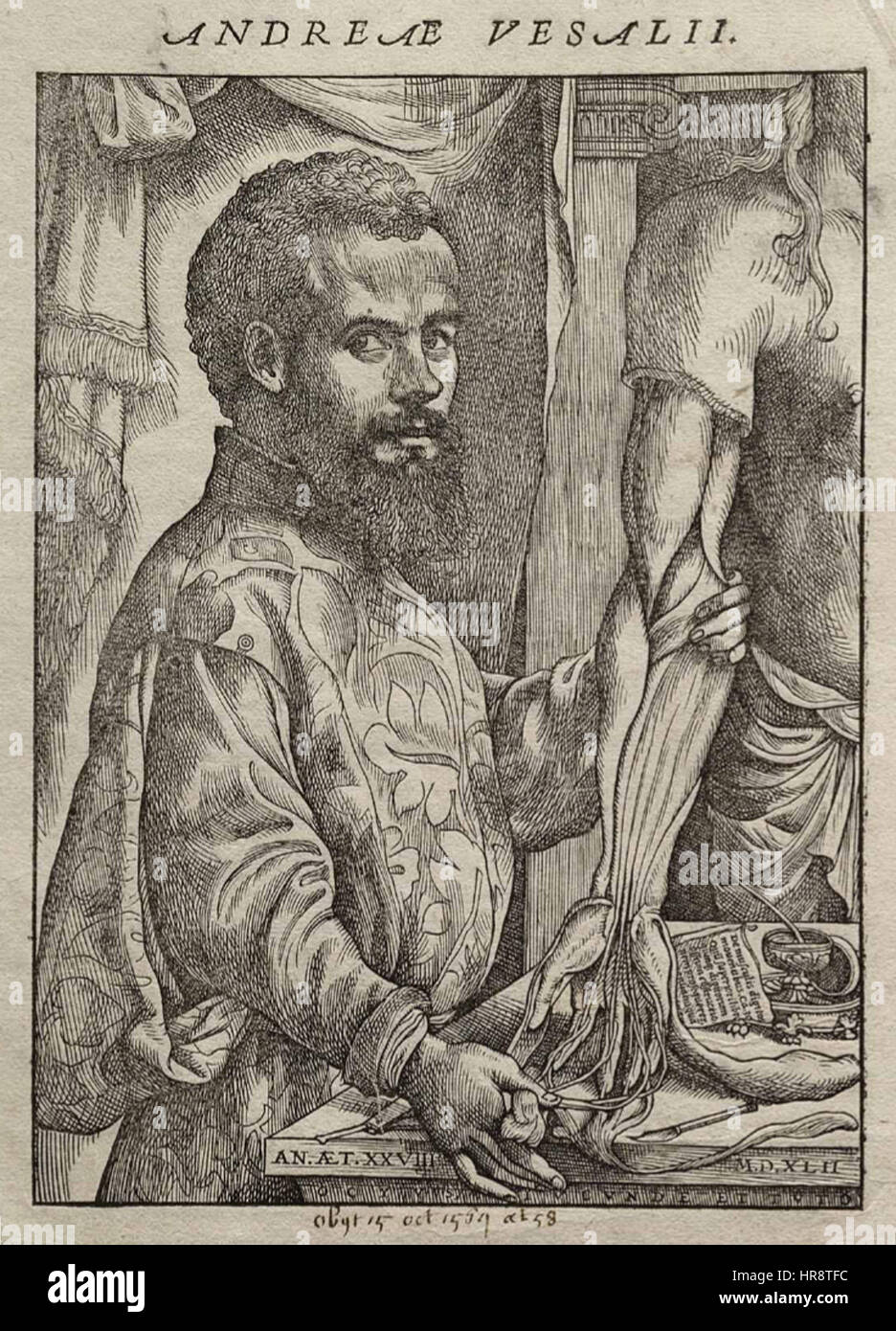 anatomist-andreas-vesalius-hi-res-stock-photography-and-images-alamy