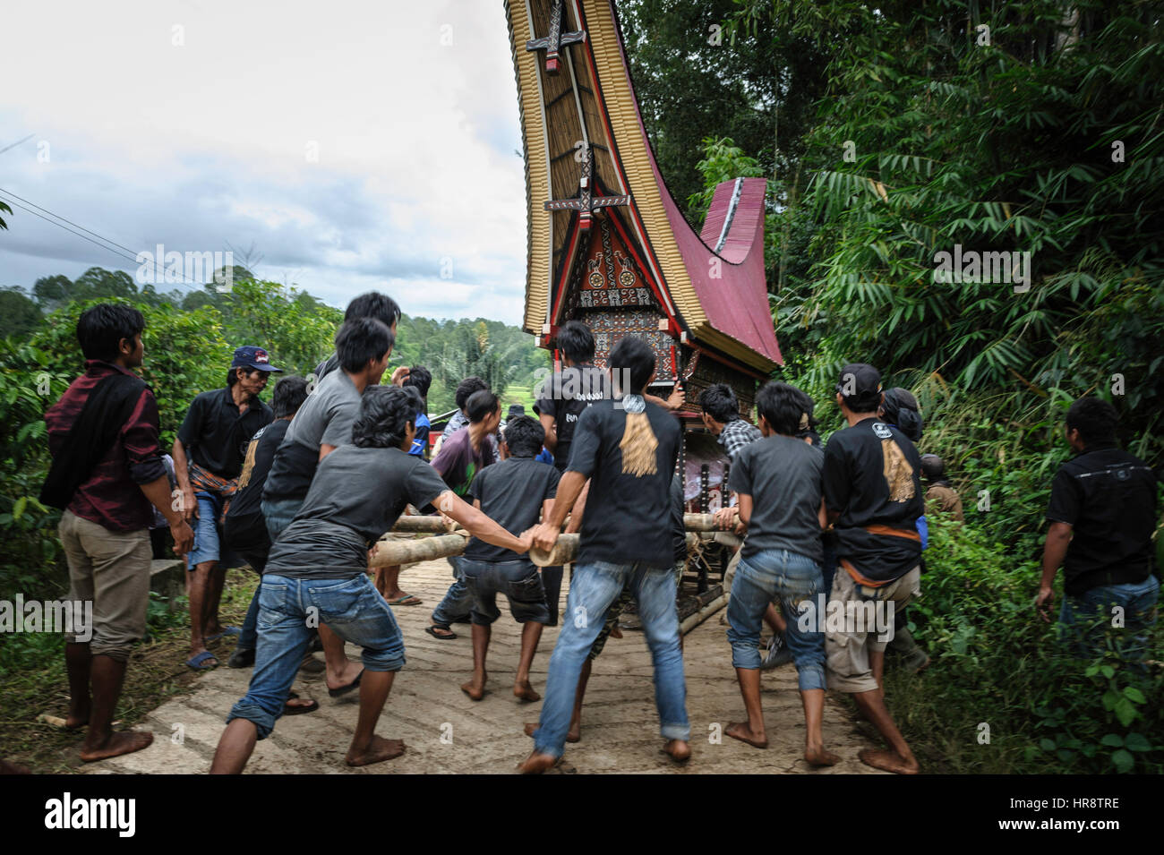 Toraja Ritual During a traditional ritual funeral of the Tana Toraja the men of the ...