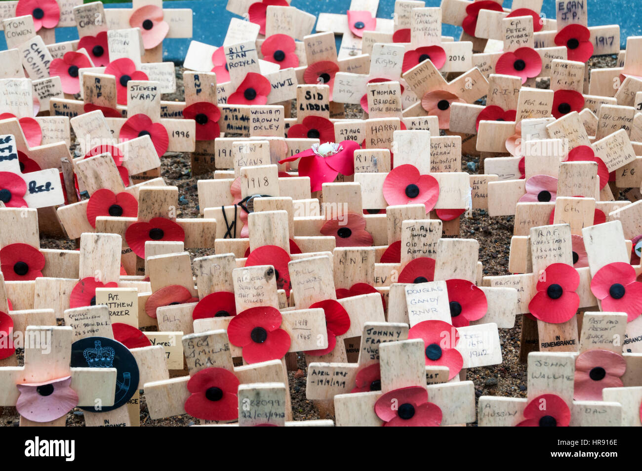 Poppy Eldon Memorial messages hi-res stock photography and images - Alamy