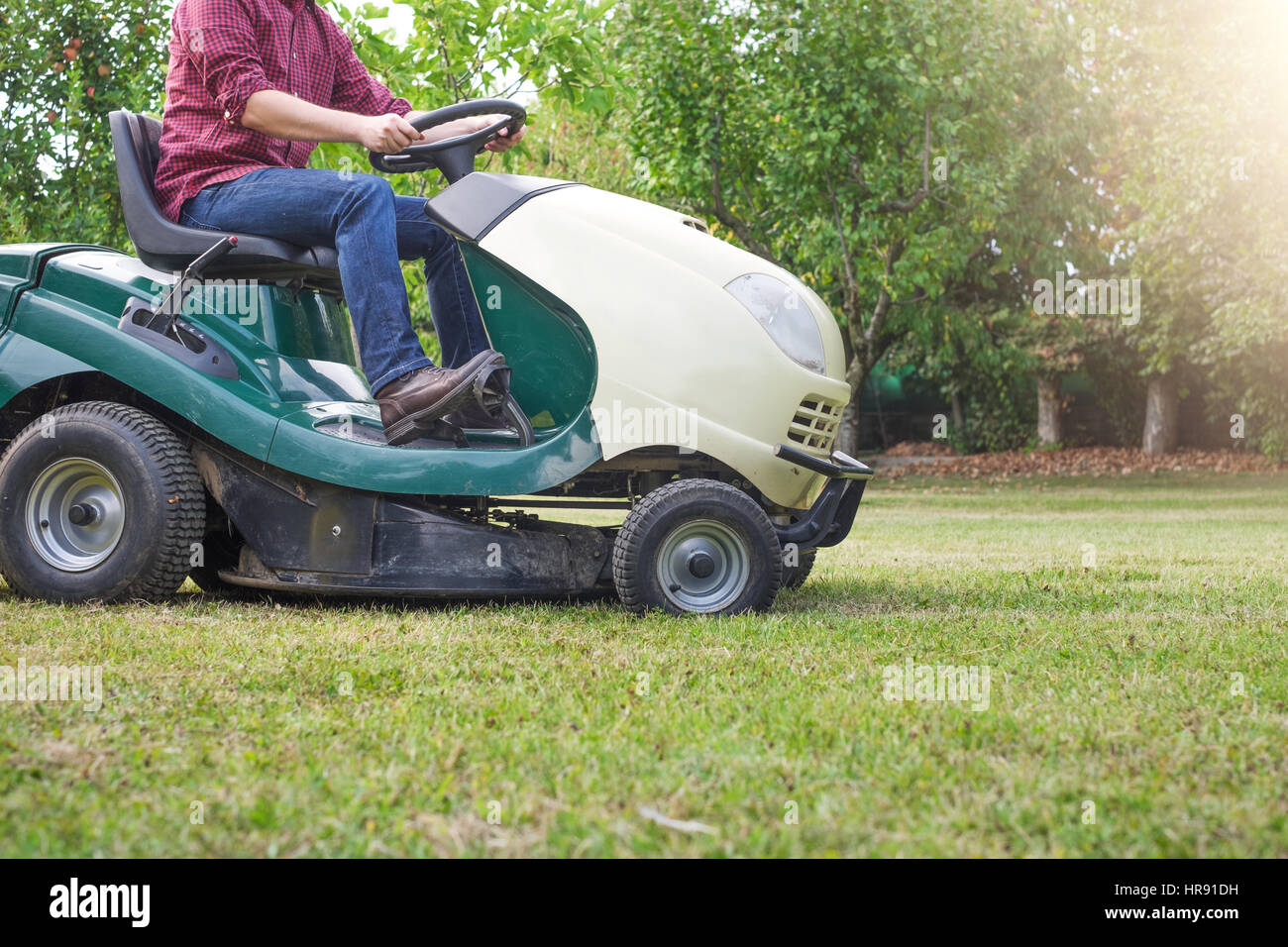 Gardener cutting the grass of a garden seated on a lawn mower Stock Photo