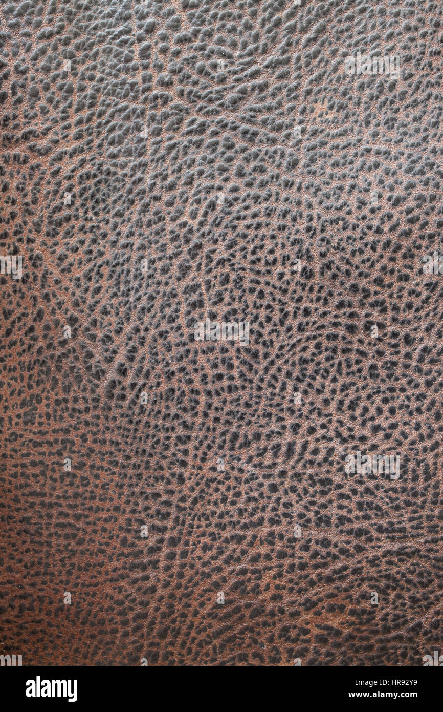 old scratched leather for background Stock Photo