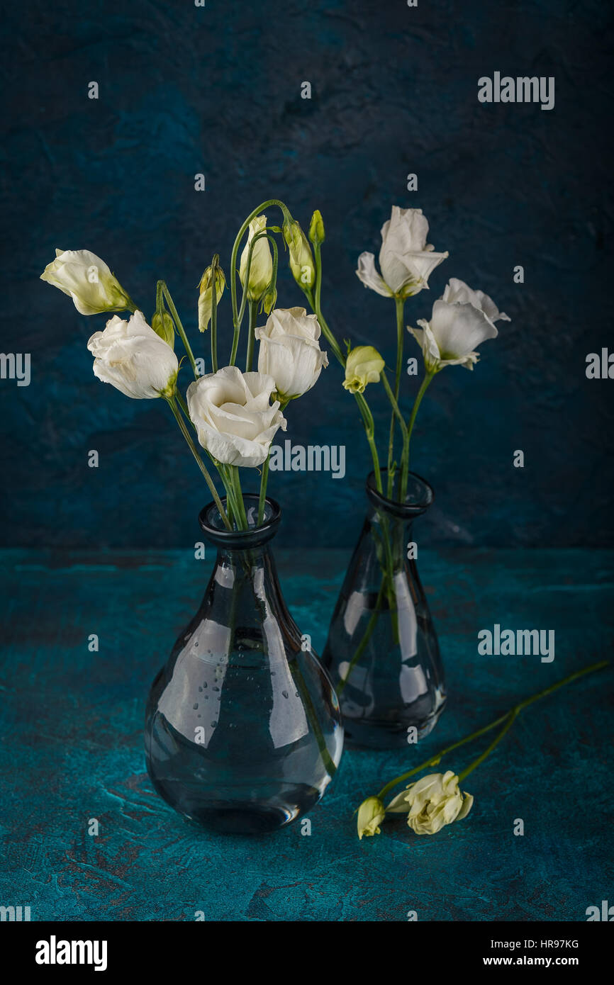 Bouquet of white eustoma flowers in glass vases on dark blue background Stock Photo