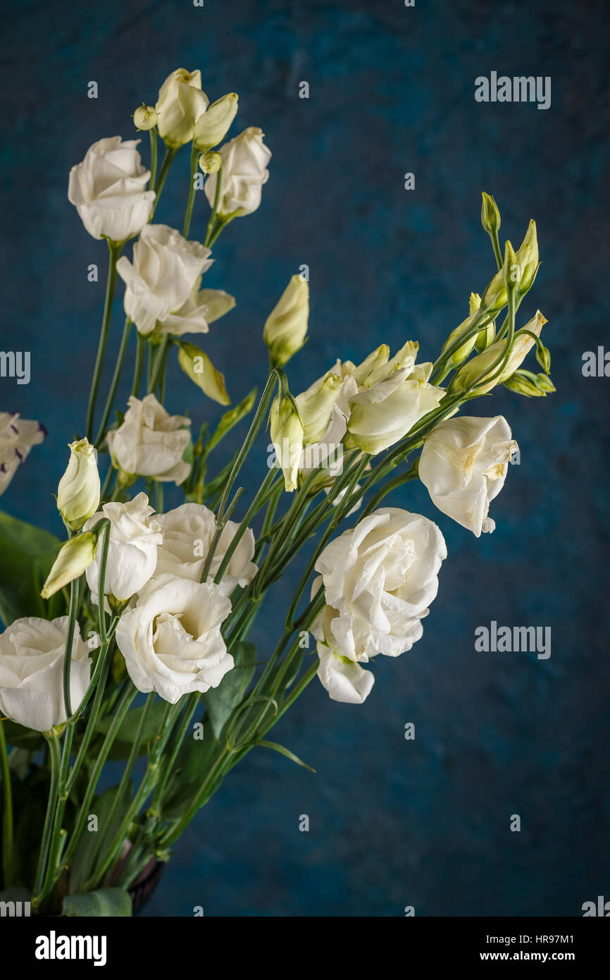 Bouquet of white eustoma flowers on dark blue background Stock Photo