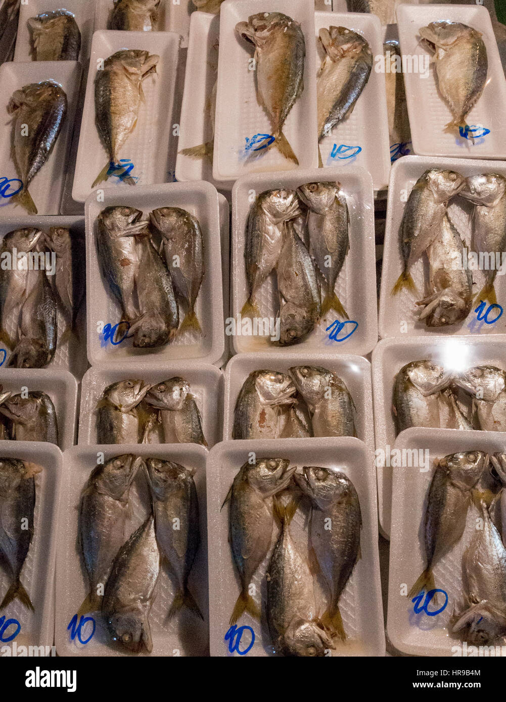 Fish for sale at Warorot Market (AKA Kad Luang), in Chiang Mai, Thailand. Stock Photo