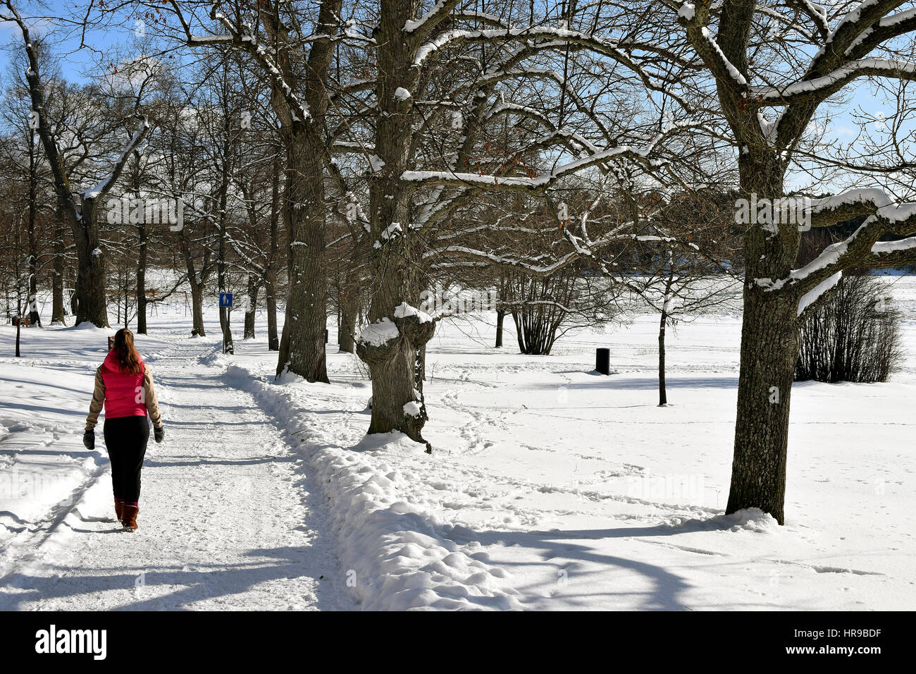 Woman walking park winter hi-res stock photography and images - Alamy