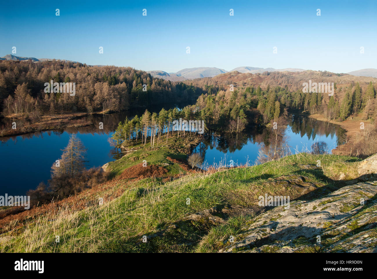 Elevated view across the landscape of Tarn Hows, Langdale, The Lake District.  Cumbria, England, UK. Stock Photo
