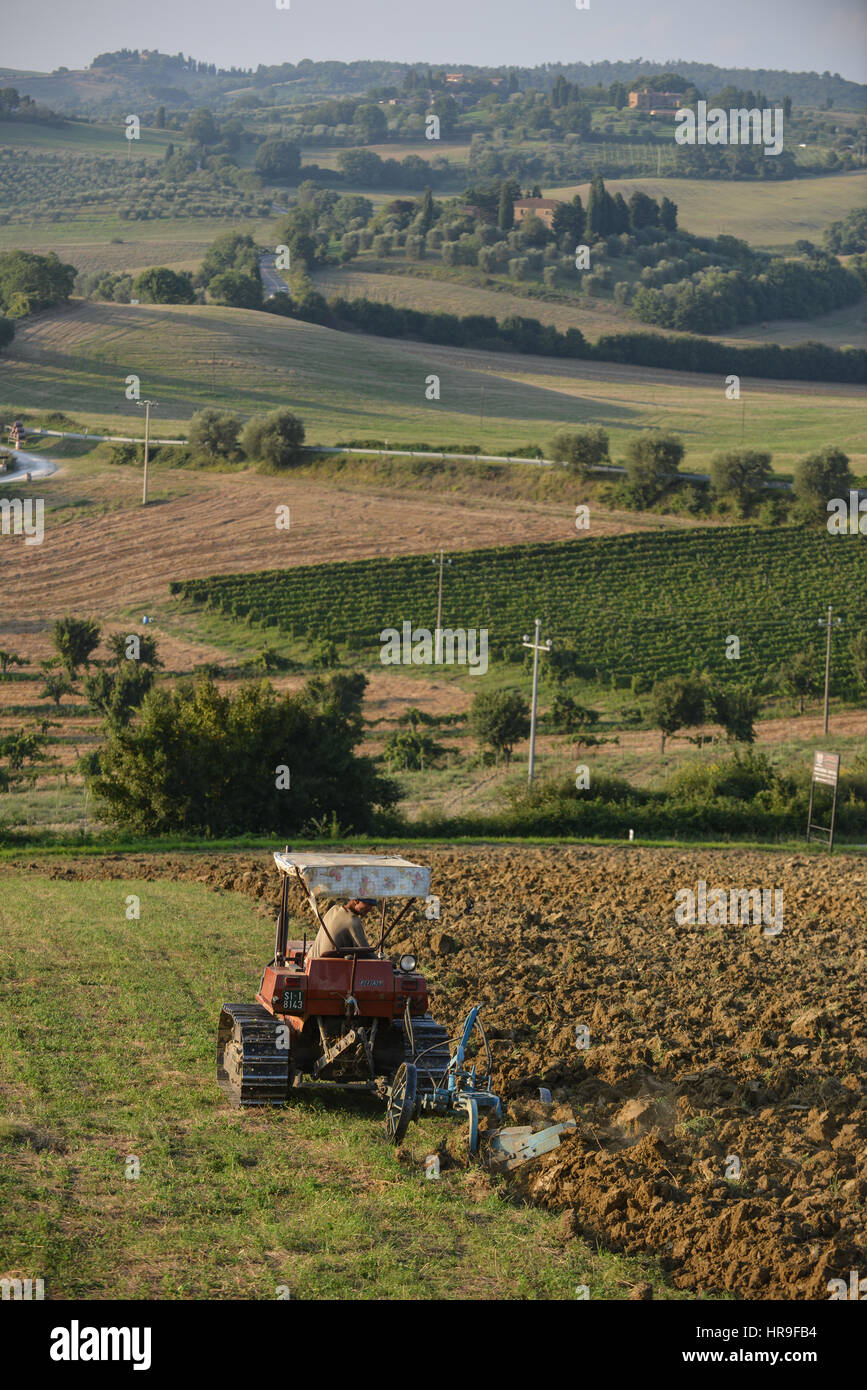 Val d'Orcia, a tractor plowing a field for growing Stock Photo