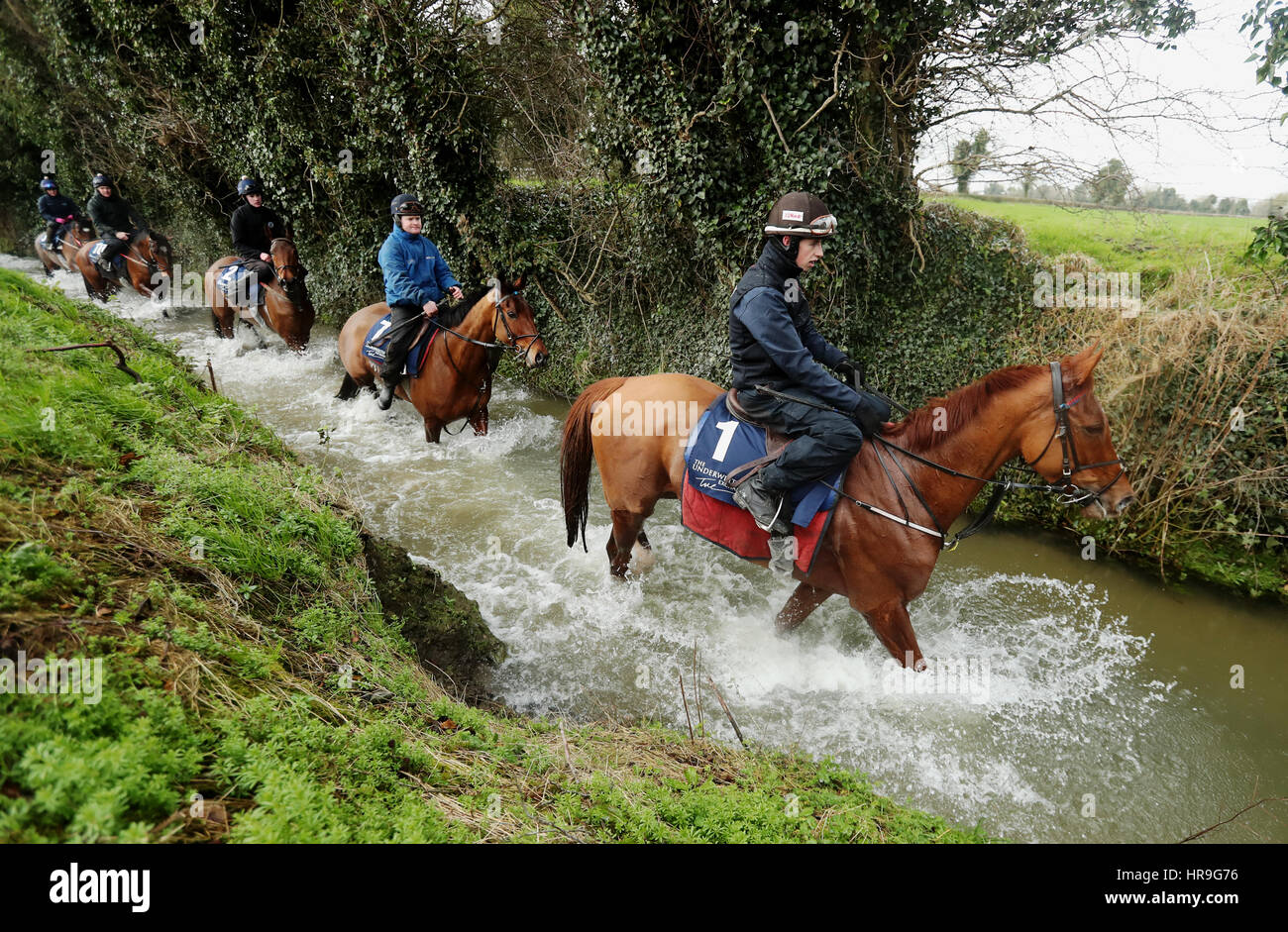 Bryan Cooper on Tombstone (no.1) during the visit to Gordon Elliott's stables in Longwood, County Meath, Ireland. Stock Photo