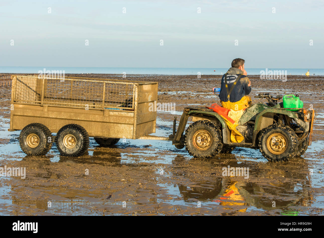 An oyster farmer taking a rest on his tractor on the beach at low tide in Whitstable, Kent. Stock Photo