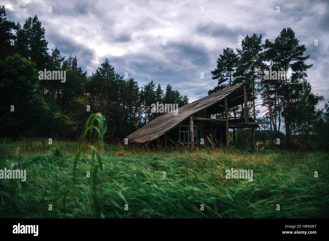 Spooky old wooden abandoned house in creepy forest at twilight Stock Photo