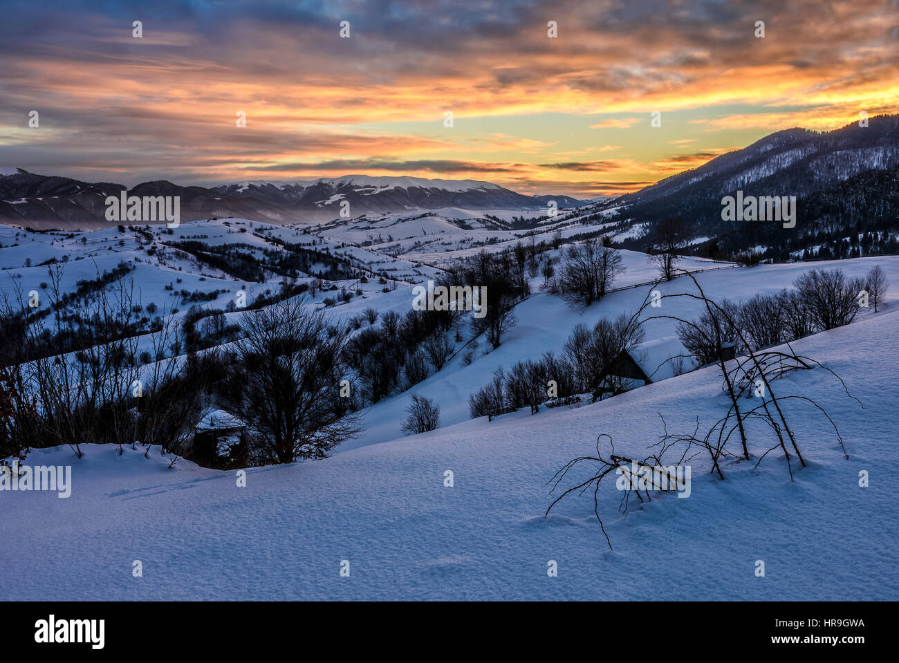 beautiful warm winter sunrise on cloudy morning in snow covered fields near rural area of Carpathian mountains Stock Photo