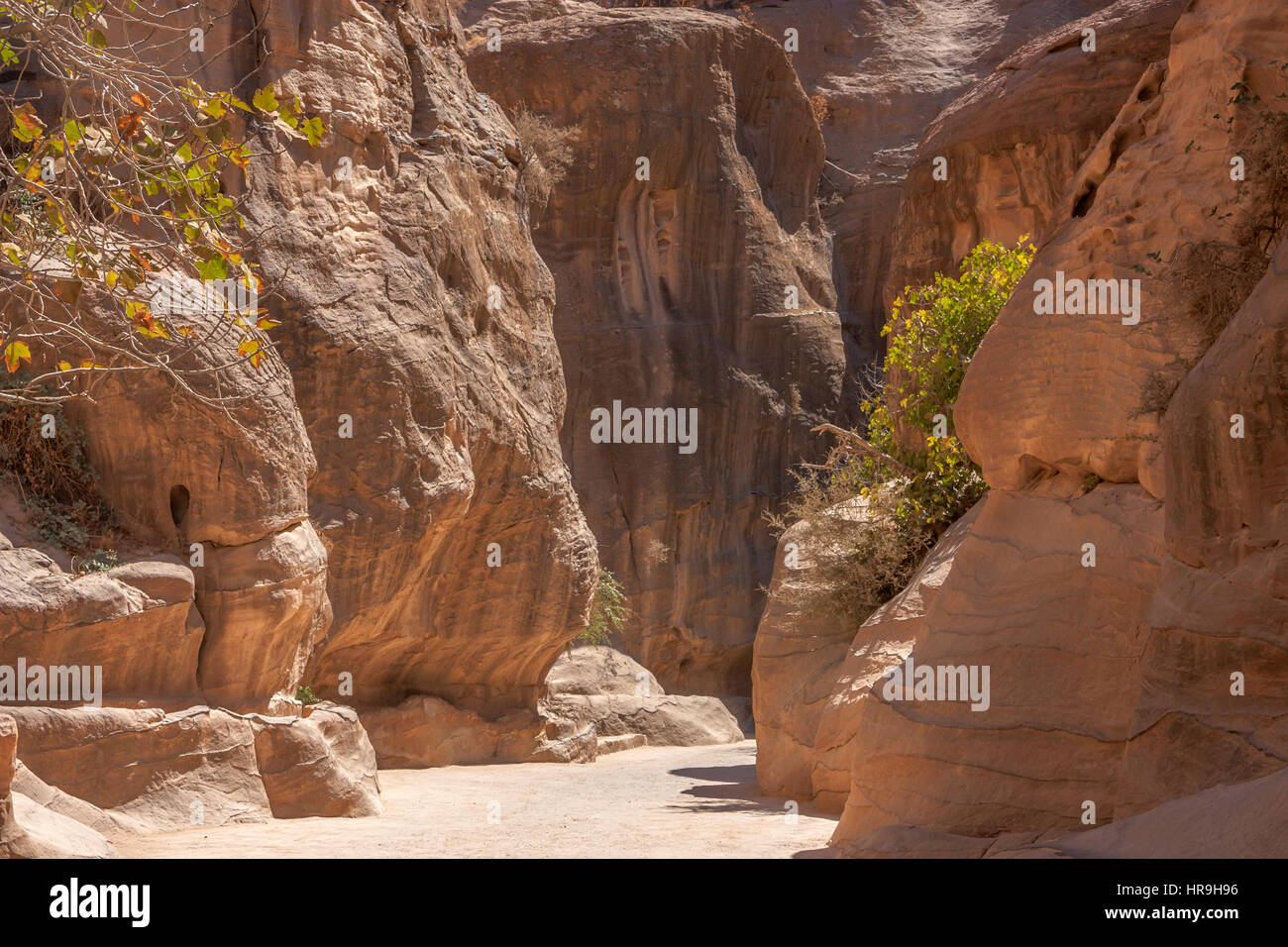 Siq passage in Petra, Jordan Stock Photo