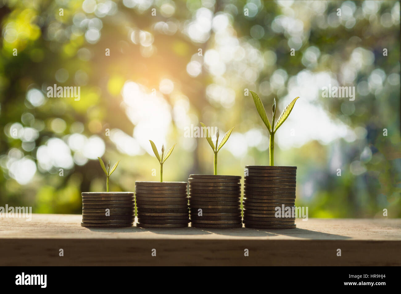 silver coin stack and tree in concept of growth business background. Stock Photo