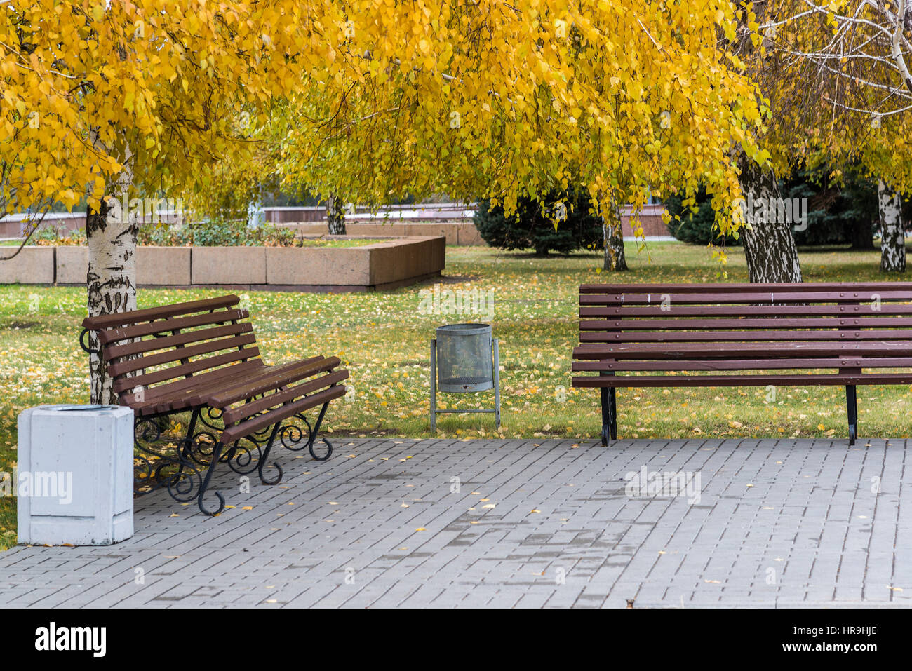 Wooden bench in the autumn park Stock Photo - Alamy