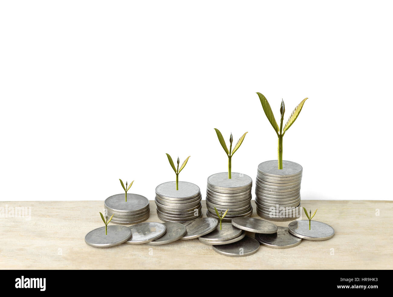 silver coin stack and tree in concept of growth in an isolated ...