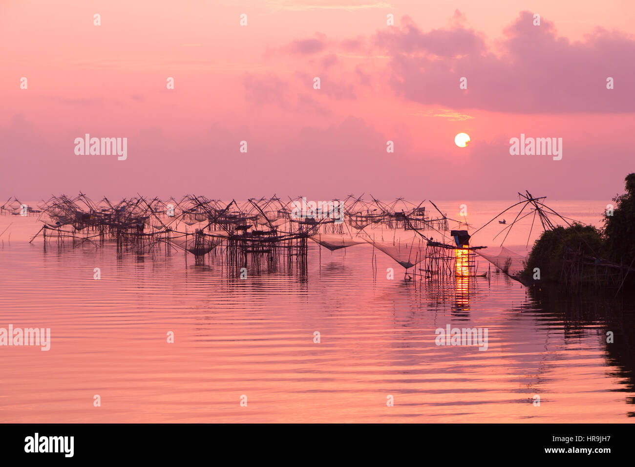 Fishing nets in the lake in Southern part of Thailand in pink warm morning light Stock Photo