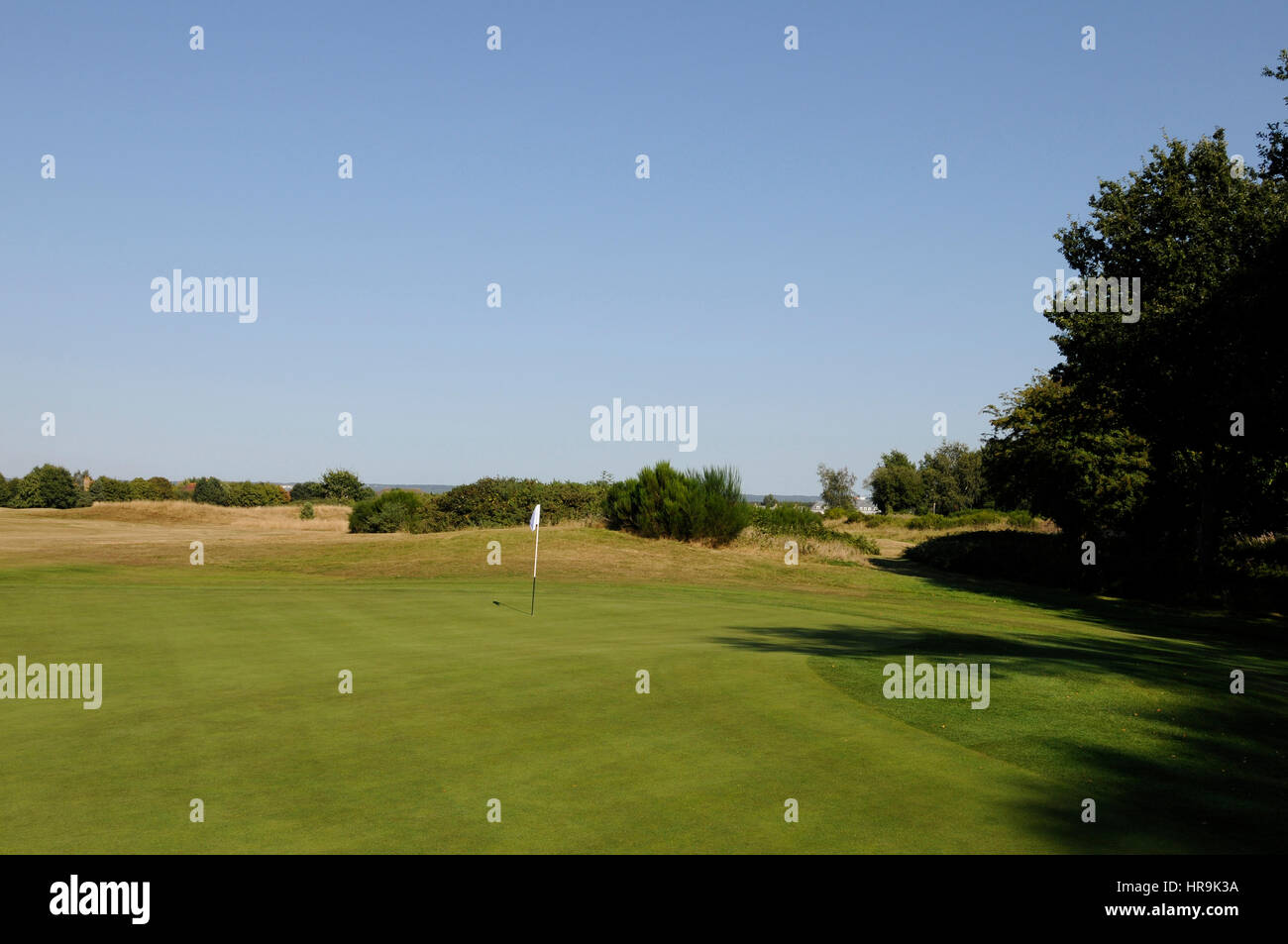 View of the 10th Green, King's Hill, West Malling,Kent England Stock Photo