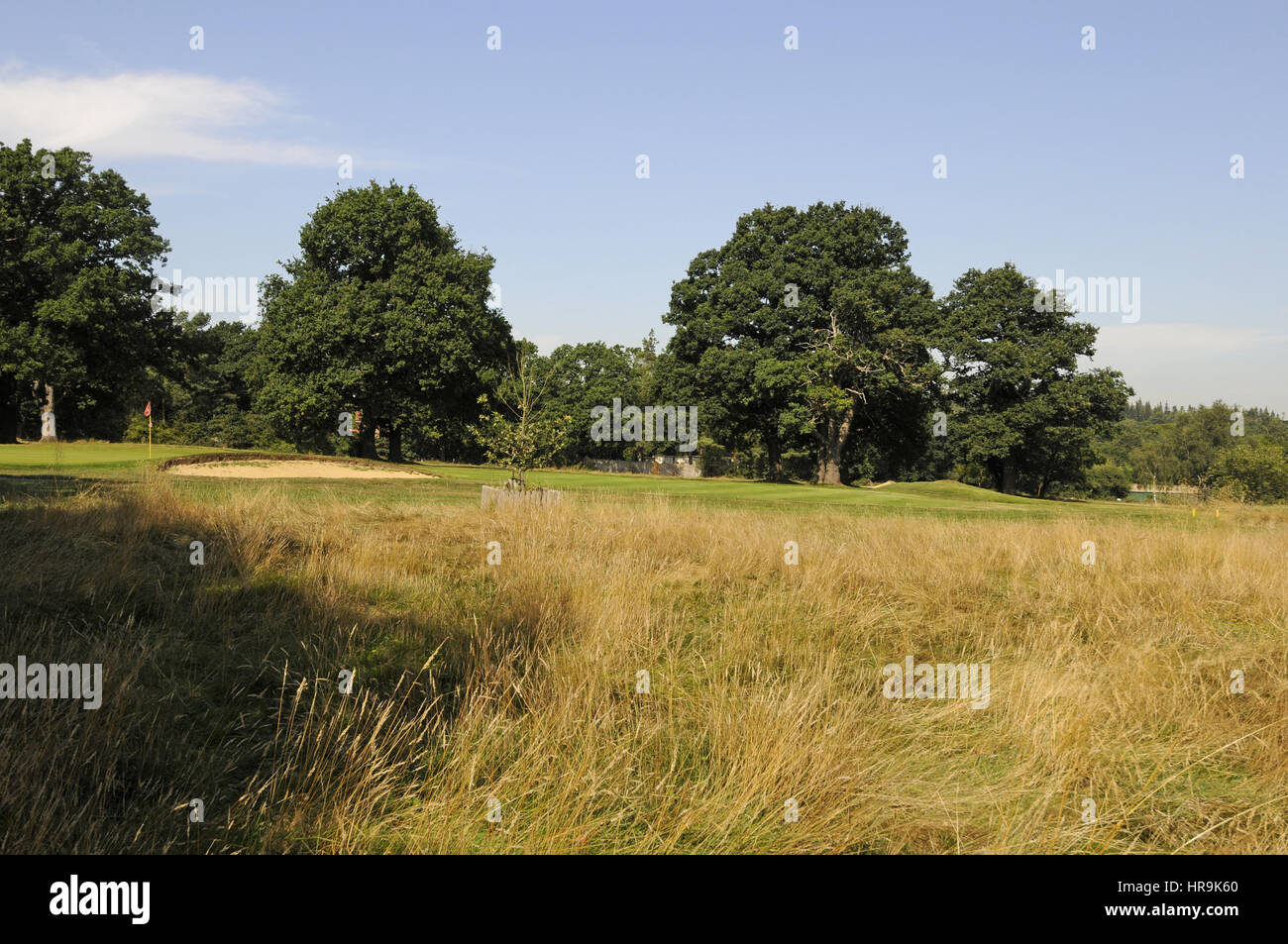 View over Fescue Grass to the Green on 18th Hole, Leatherhead Golf Club