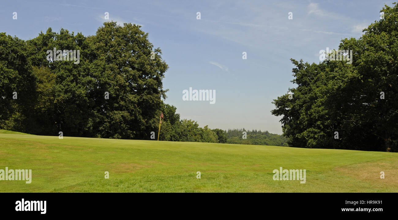 View up slope to the 16th Green and flag on the hilltop, Leatherhead