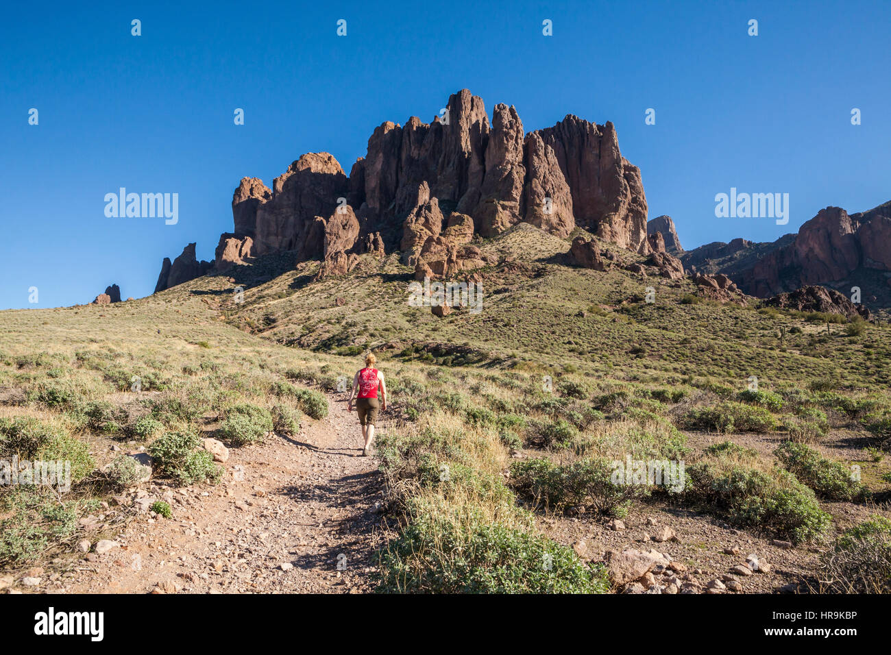 are dogs allowed at lost dutchman state park