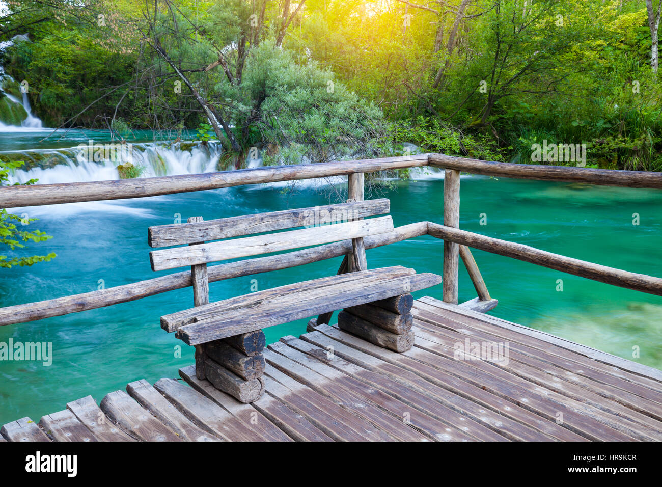 Beautiful summer green forest park Stock Photo - Alamy