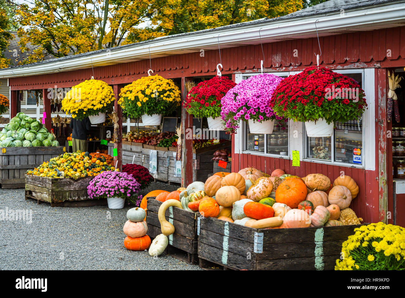 A farm produce market selling pumpkins and gourds near Walnut Creek