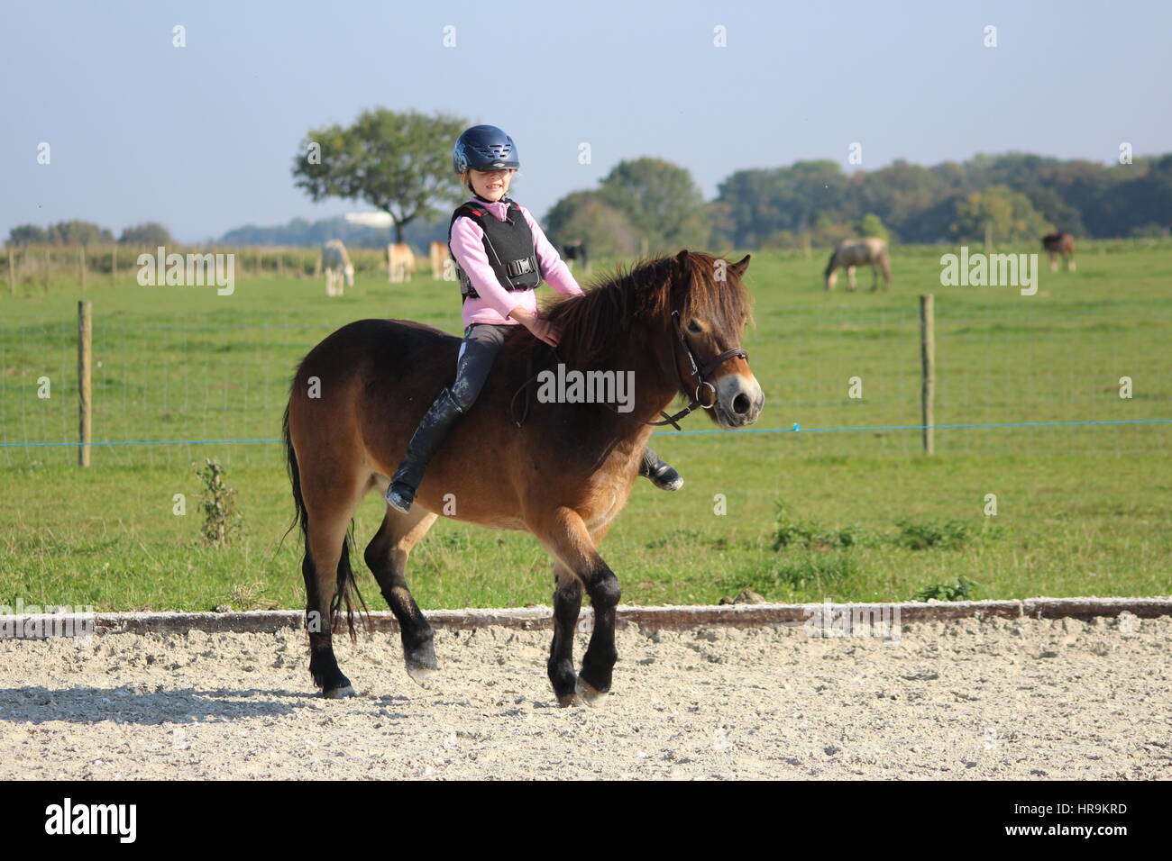 Young girl riding Exmoor pony bareback without saddle Stock Photo
