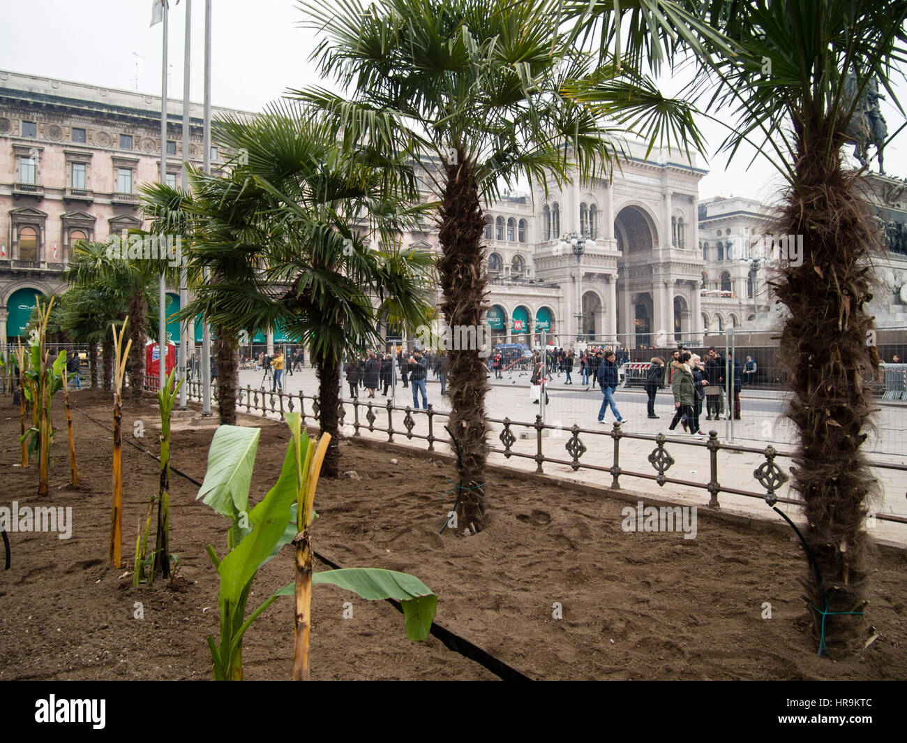 Starbucks palms in Milan, and taxi drivers protesting against uber 