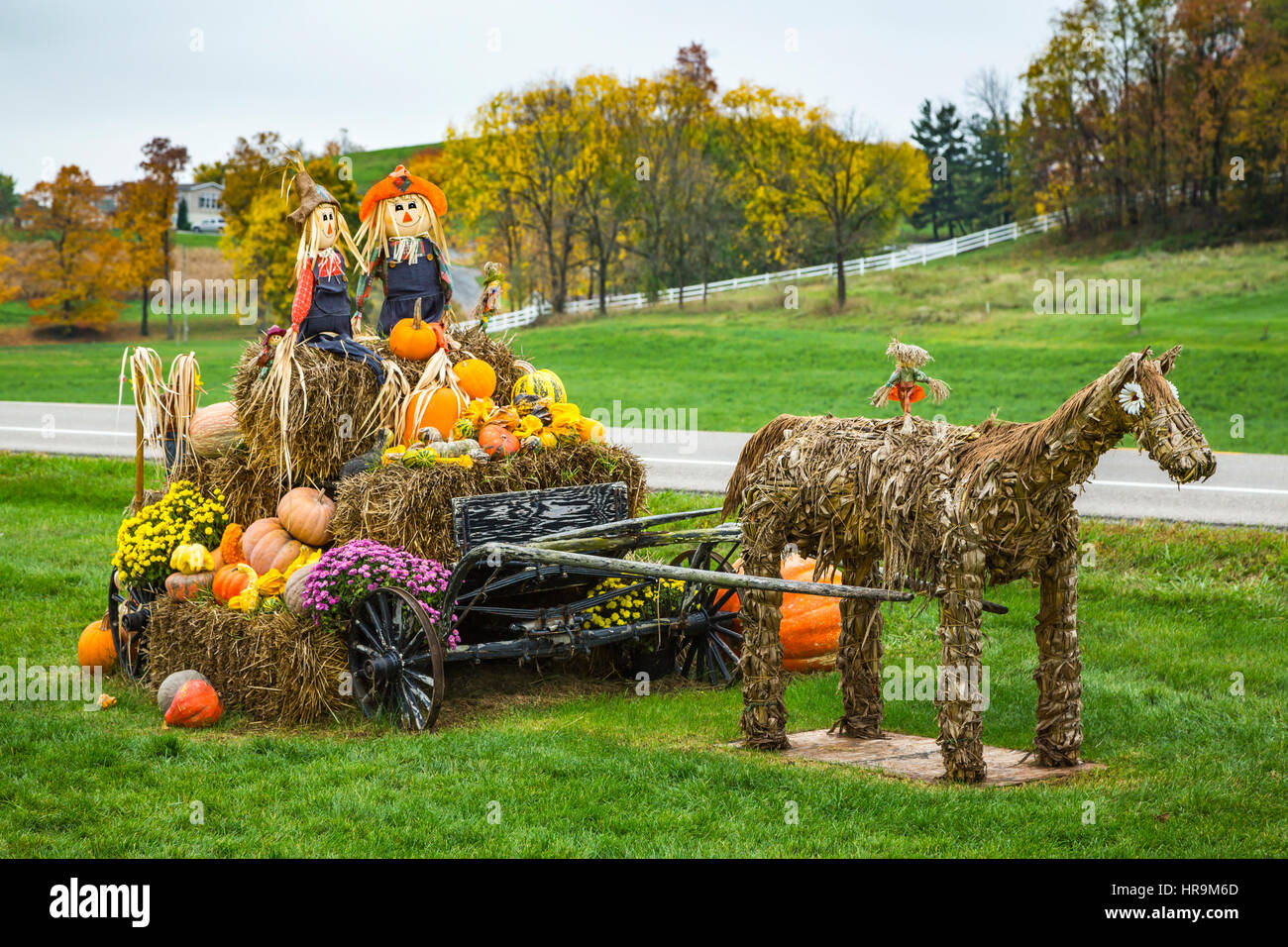 A fall display at a farm produce market near Walnut Creek, Ohio, USA. Stock Photo