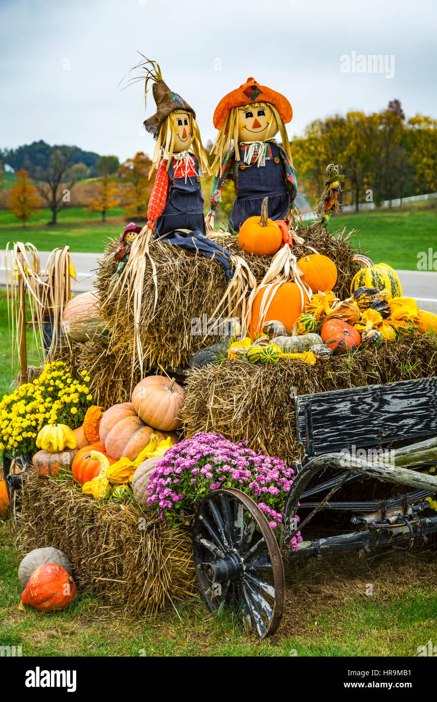 A fall display at a farm produce market near Walnut Creek, Ohio, USA. Stock Photo