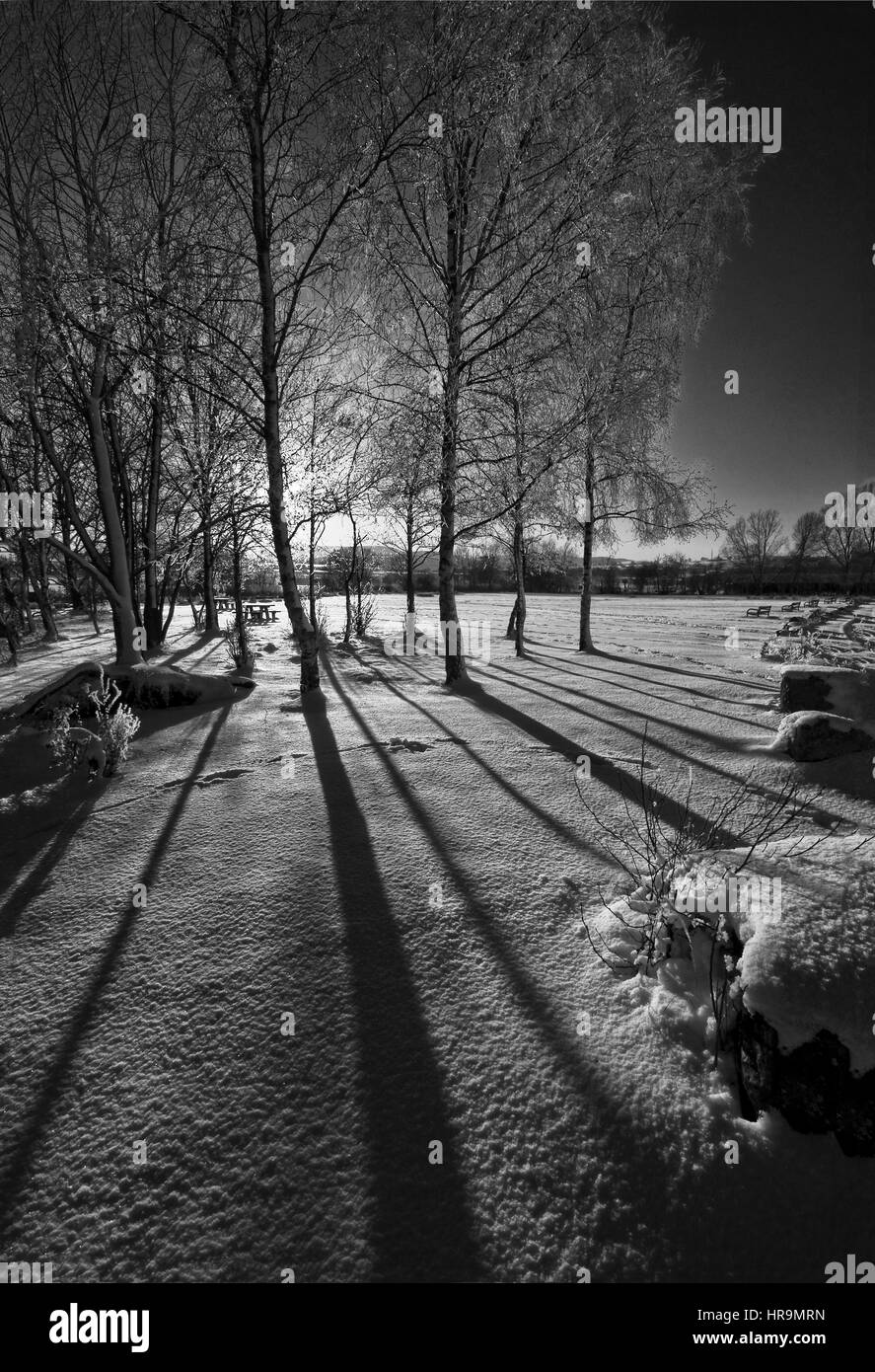 A winter scene at Llangorse Lake in the Black Mountains, Brecon Beacons National Park, Wales, United Kingdom Stock Photo