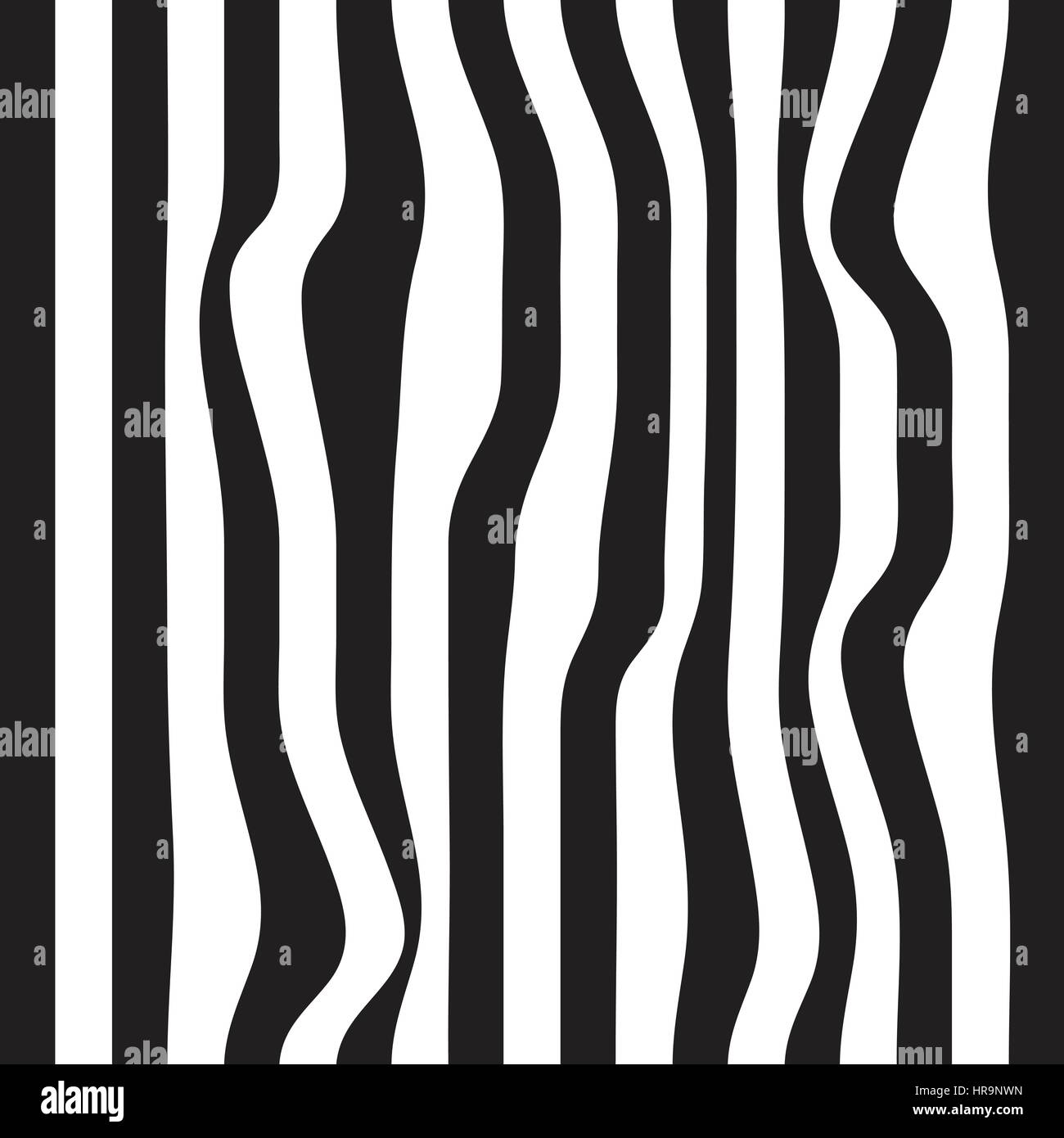 Striped abstract background. black and white zebra print. Vector ...