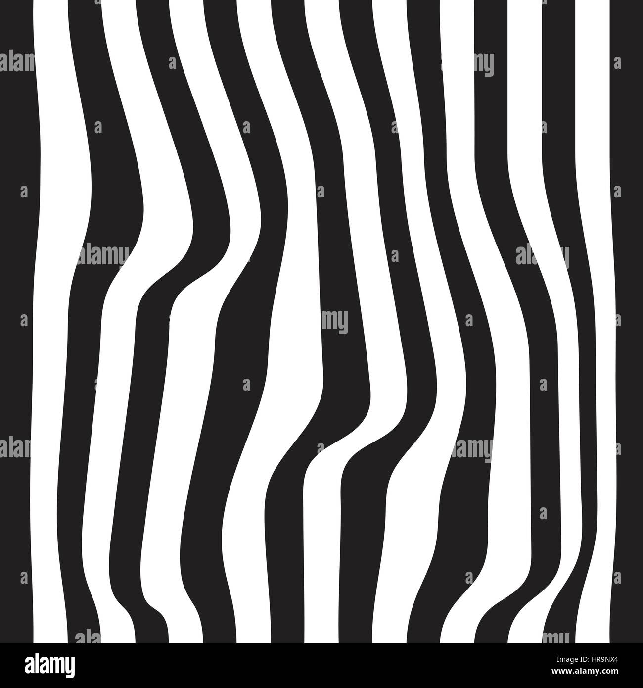 Striped abstract background. black and white zebra print. Vector ...