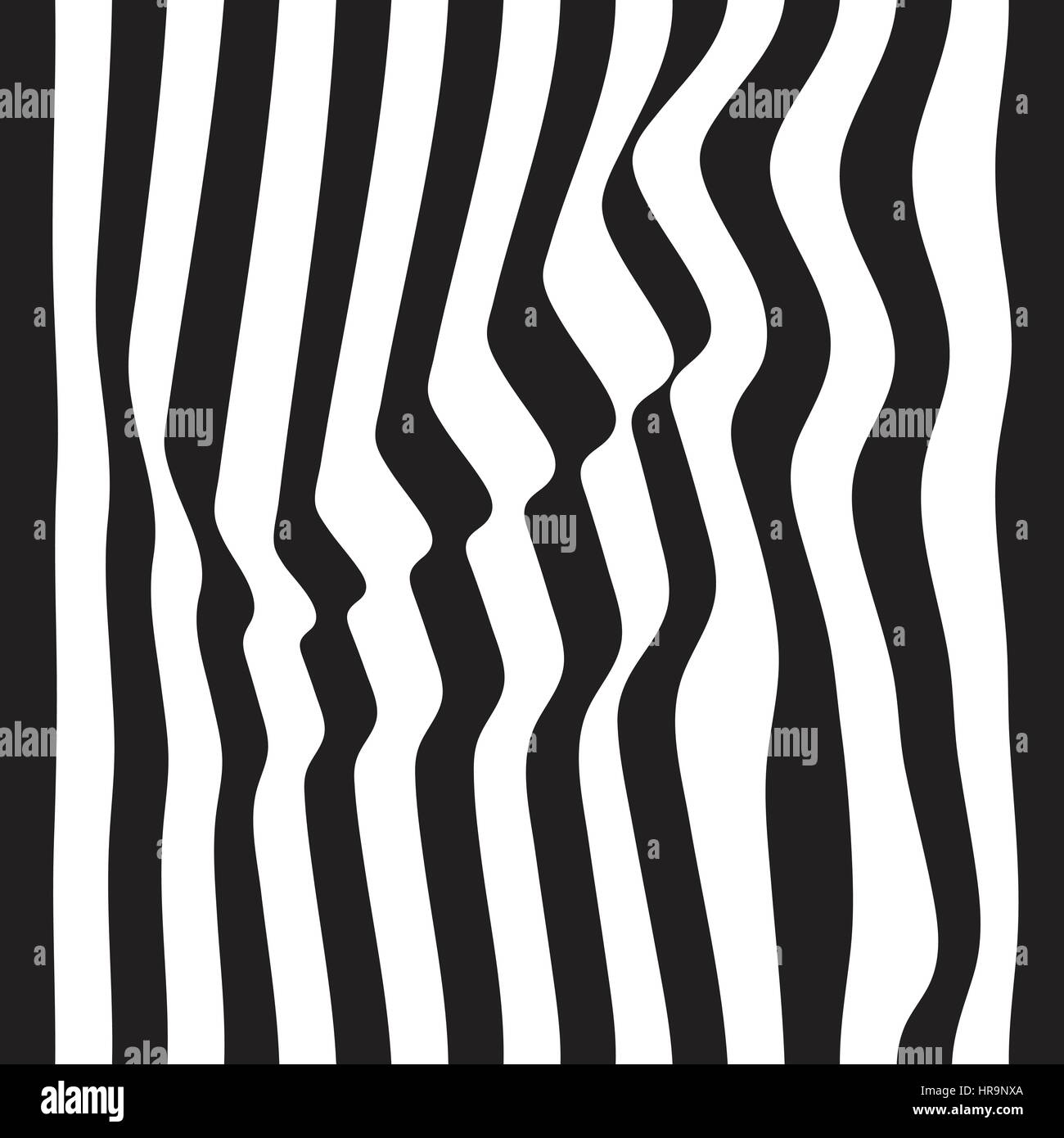 Striped abstract background. black and white zebra print. Vector ...
