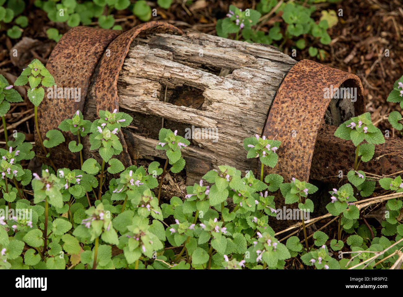 Wagon Axle High Resolution Stock Photography And Images Alamy
