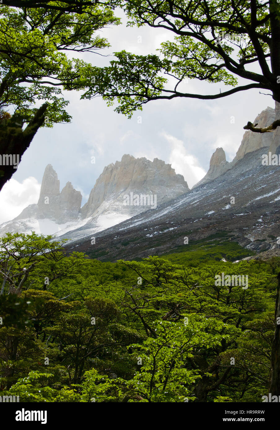 The French Valley in Torres del Paine National Park, Chile. Viewed while hiking the W Trek around the park. Stock Photo