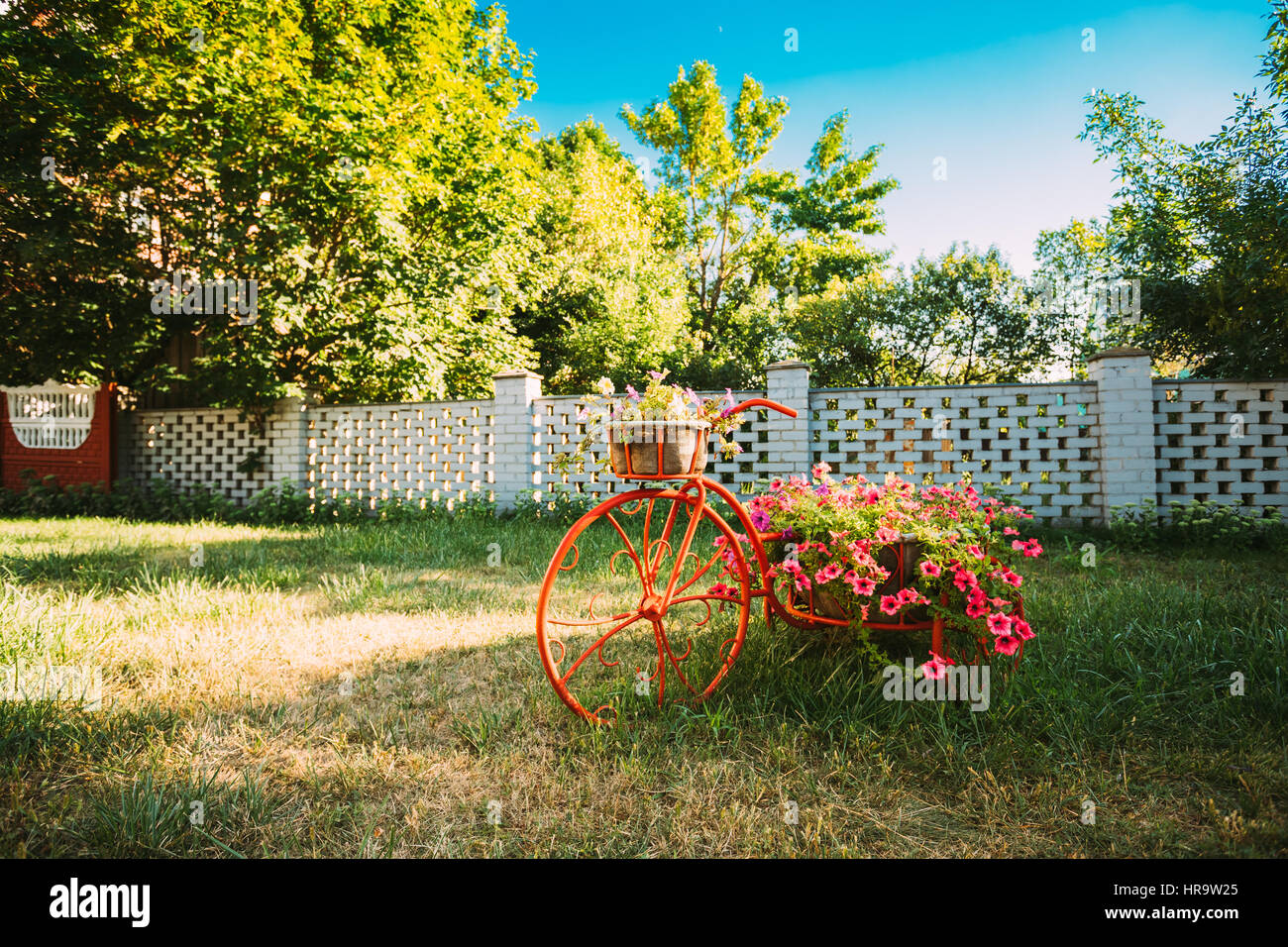Decorative Vintage Model Old Bicycle Equipped Basket Flowers Garden