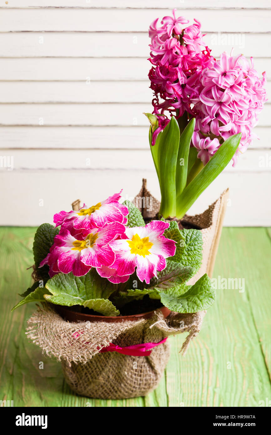 Pink spring flowers Stock Photo Alamy
