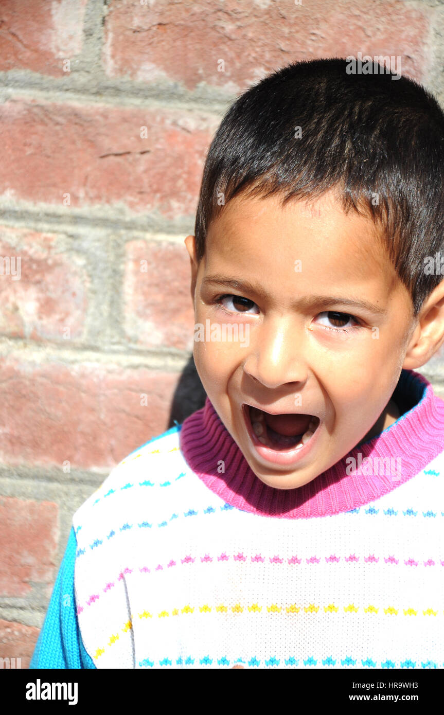 Kashmiri Boy, Kashmir India (Photo Copyright © by Saji Maramon Stock