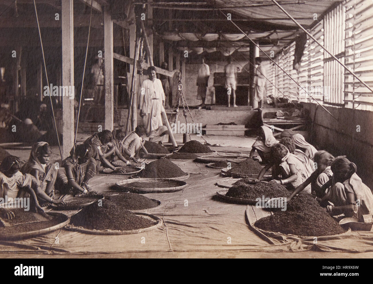 History of ceylon hi-res stock photography and images - Alamy